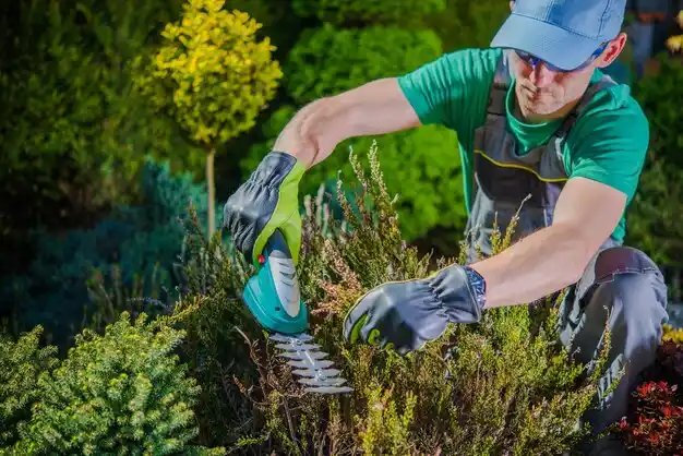 landscaping services Hartford